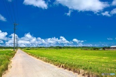 沖縄県・小浜島 シュガーロード