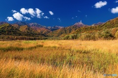 新潟県・妙高高原の紅葉 3
