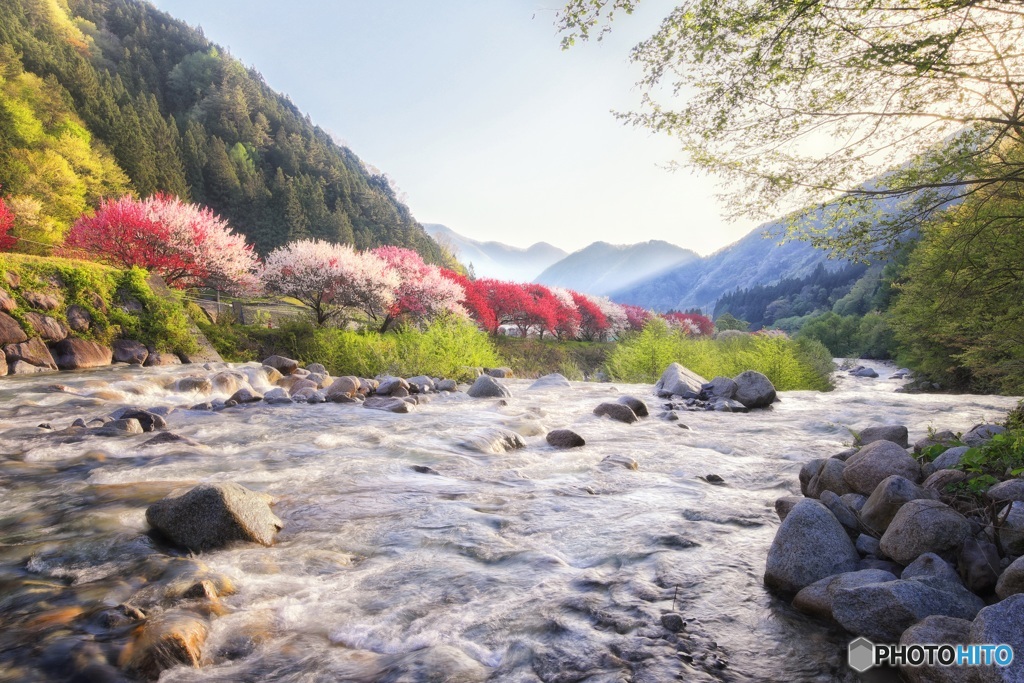 長野県・阿智村 朝日射す春の郷 1
