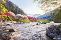 長野県・阿智村 朝日射す春の郷 1