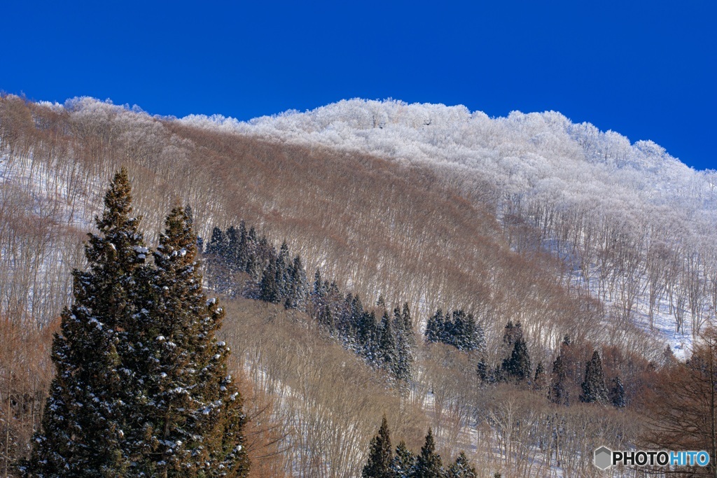 長野県・冬の斑尾高原の風景 3