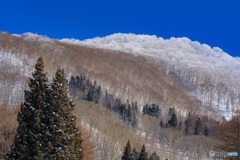 長野県・冬の斑尾高原の風景 3