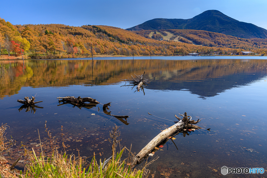 長野県・秋の女神湖の風景 17