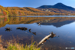 長野県・秋の女神湖の風景 17