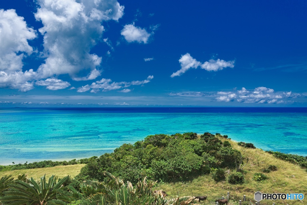 沖縄県・小浜島 ちゅらさん展望台からの風景