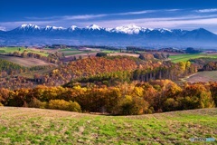 北海道・美瑛町 秋の美瑛の丘 3