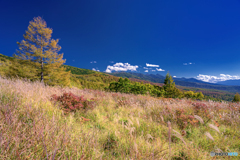 長野県・北横岳 初秋の登山道から眺める南八ヶ岳の風景
