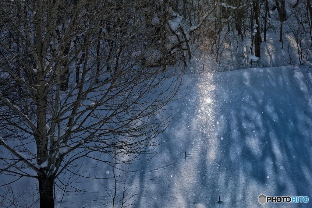 北海道・美瑛町 ダイヤモンドダスト