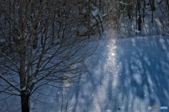 北海道・美瑛町 ダイヤモンドダスト