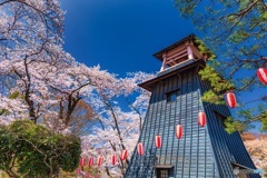 群馬県・沼田公園の桜 1