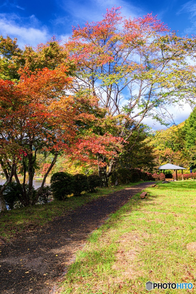 長野県・蓼科湖の紅葉 5
