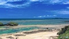 沖縄県・西表島 5