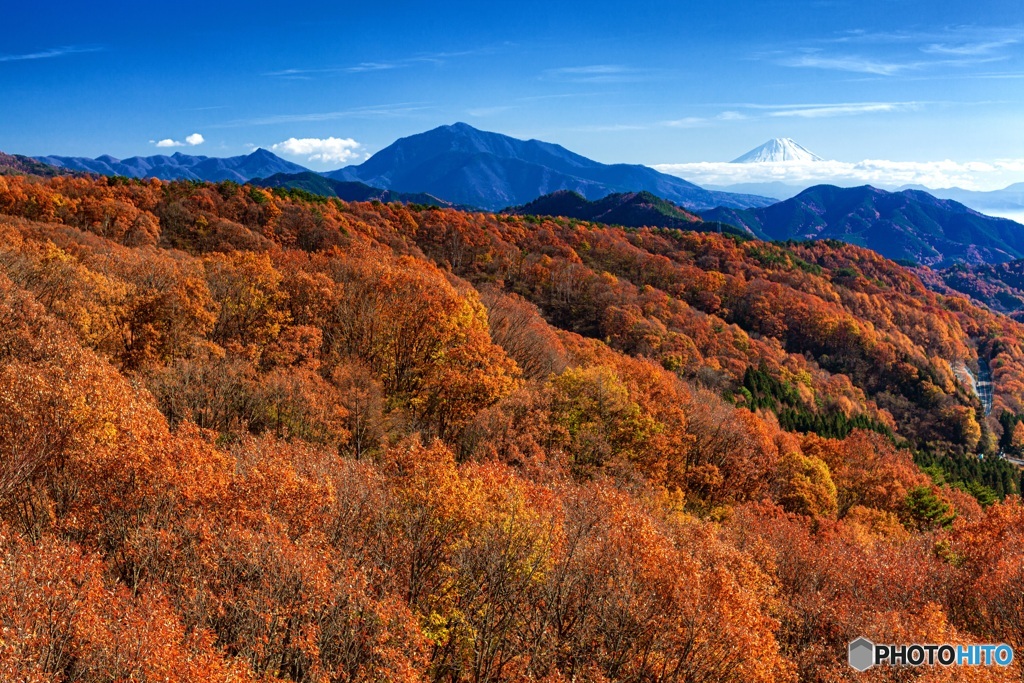 山梨県・富士山と清里の紅葉