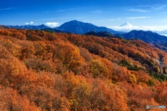 山梨県・富士山と清里の紅葉