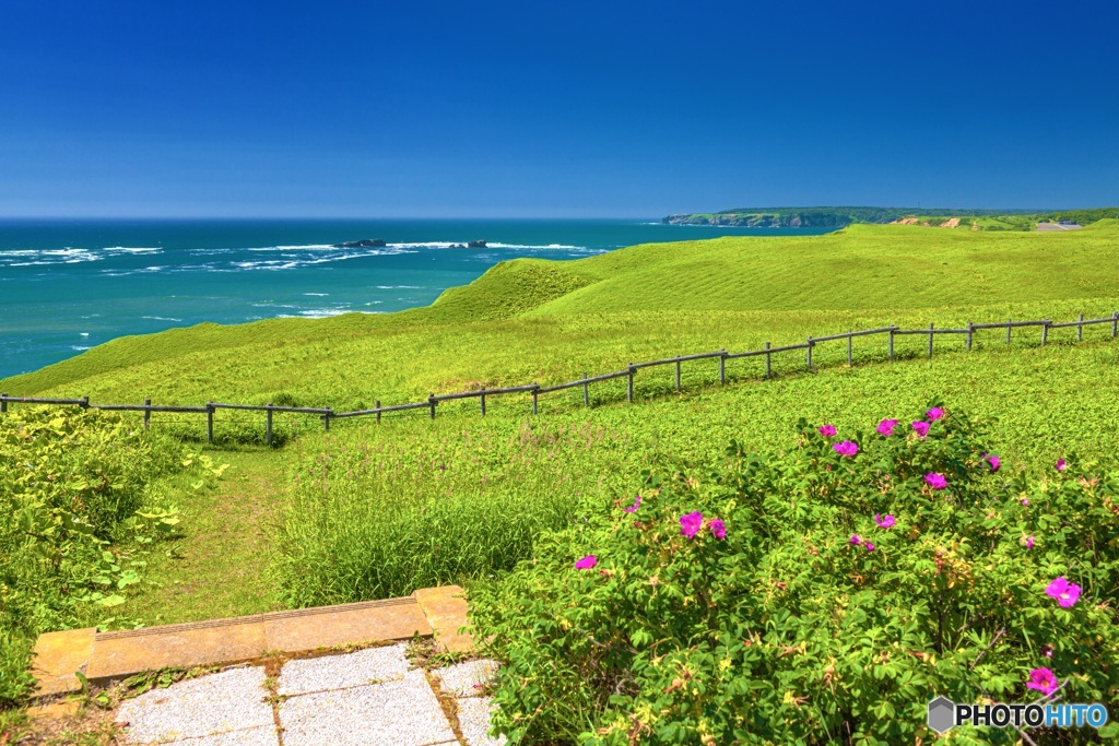 北海道・厚岸町 夏の霧多布岬の風景 1