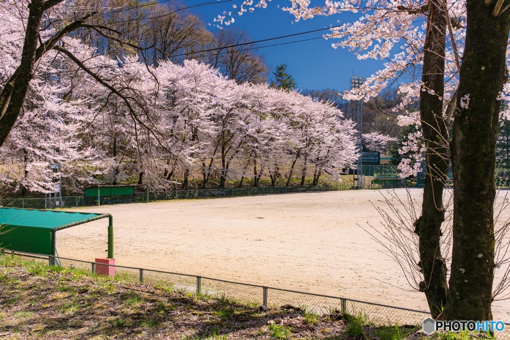 長野県・春の茅野市運動公園の風景 4