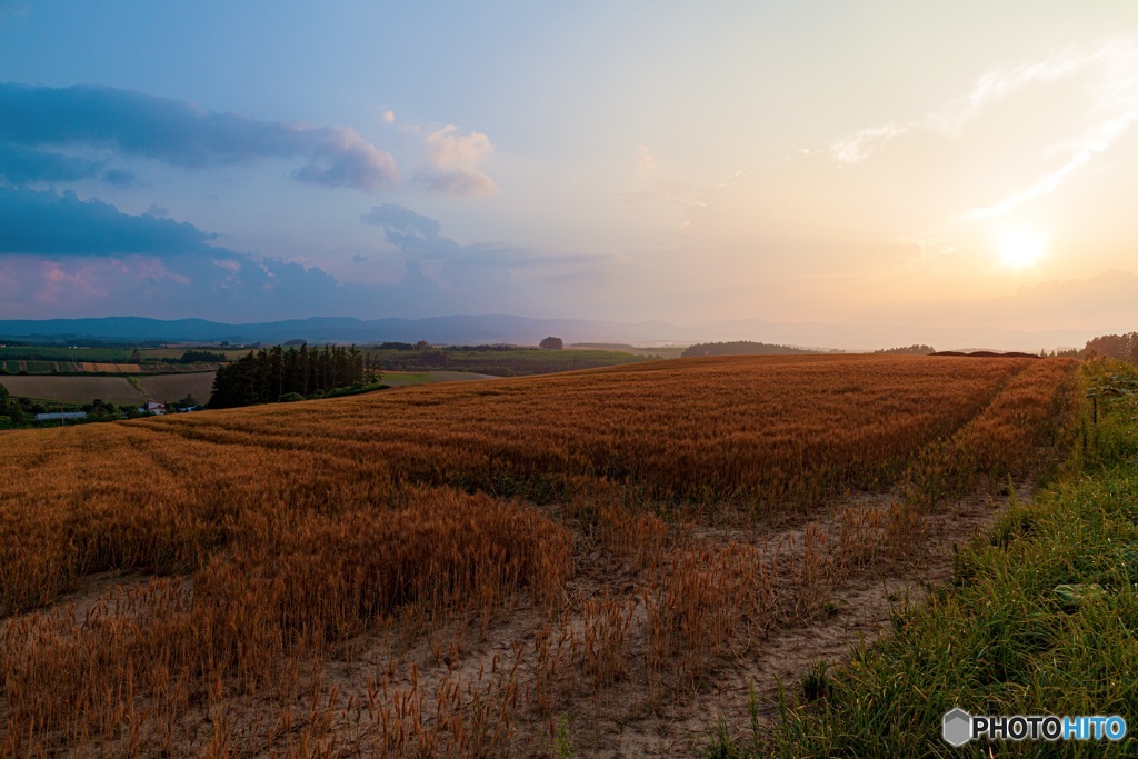 北海道・美瑛町 夏の夕景 1
