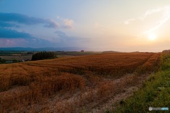 北海道・美瑛町 夏の夕景 1