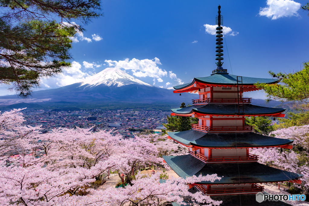 山梨県・富士山と新倉山浅間神社の桜回廊の風景