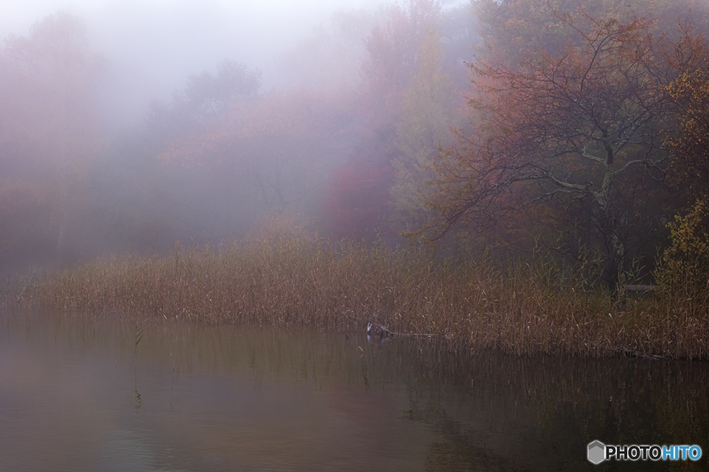 長野県・女神湖の朝霧 3