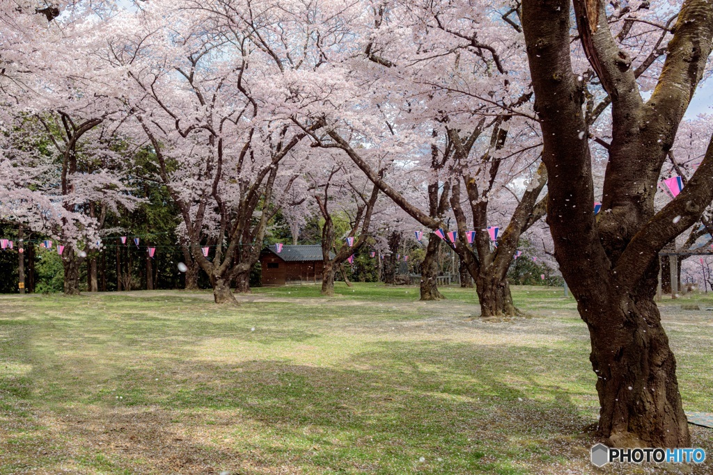 長野県・伊那市 春の春日公園の風景
