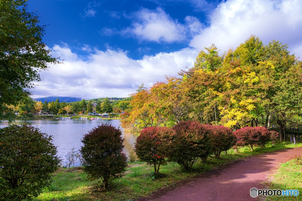 長野県・蓼科湖の紅葉 4