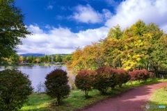 長野県・蓼科湖の紅葉 4