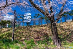 長野県・春の茅野市運動公園の風景 5