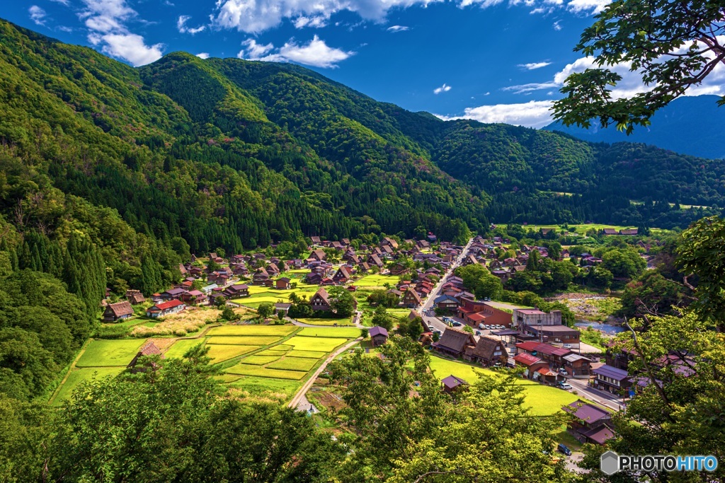 岐阜県・夏の白川郷の風景 1