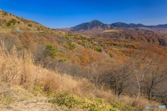 長野県・秋の車山高原の風景 1