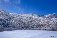 北海道・北見市 石北峠の雪景色