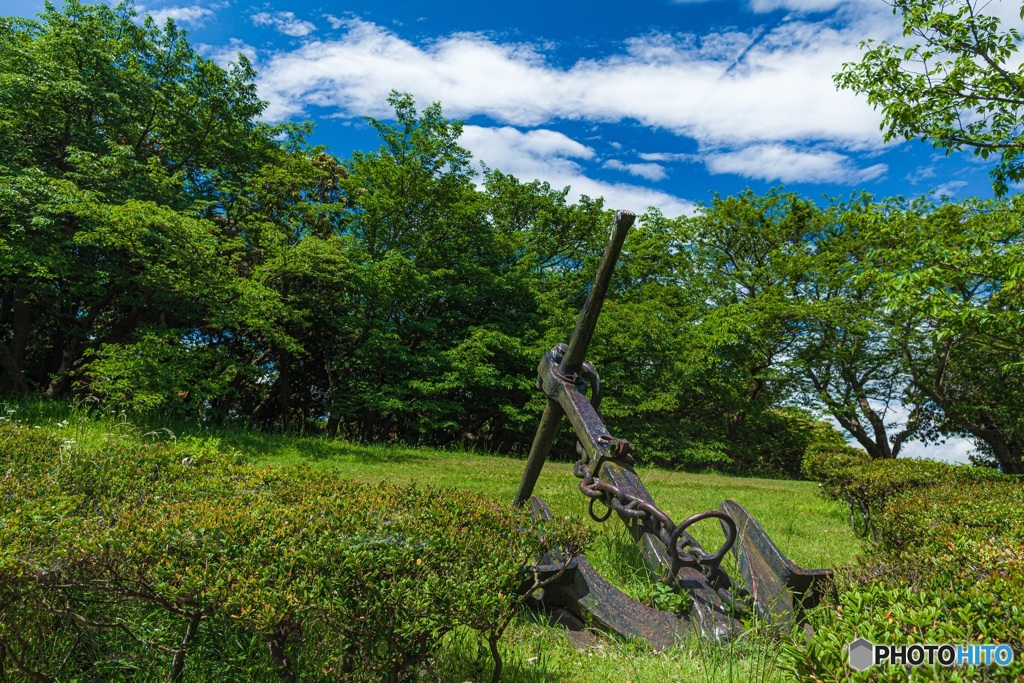 神奈川県・観音崎公園の風景 4
