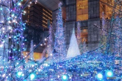 東京都・カレッタ汐留 イルミネーション 2016