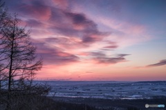 北海道・帯広市 冬の十勝平野の朝焼け 2
