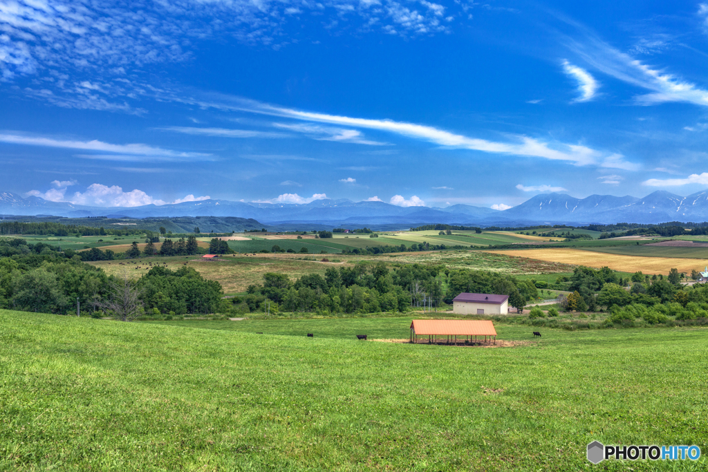 北海道・夏の美瑛の丘の風景