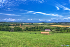 北海道・夏の美瑛の丘の風景