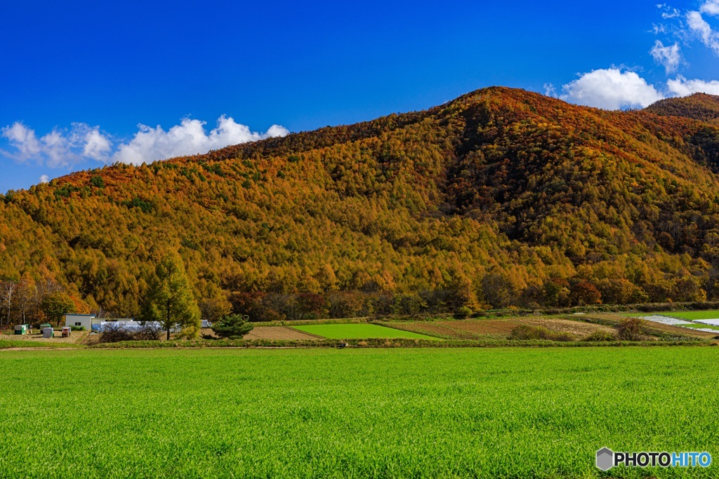 長野県・秋の川上村の風景 6