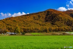 長野県・秋の川上村の風景 6