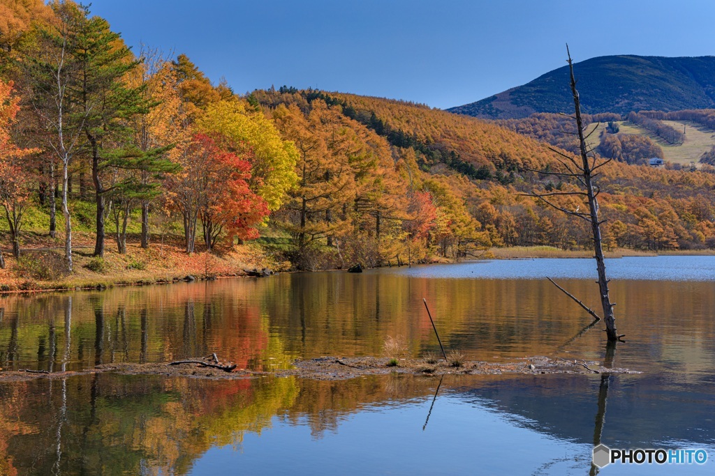 長野県・秋の女神湖の風景 16