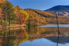 長野県・秋の女神湖の風景 16