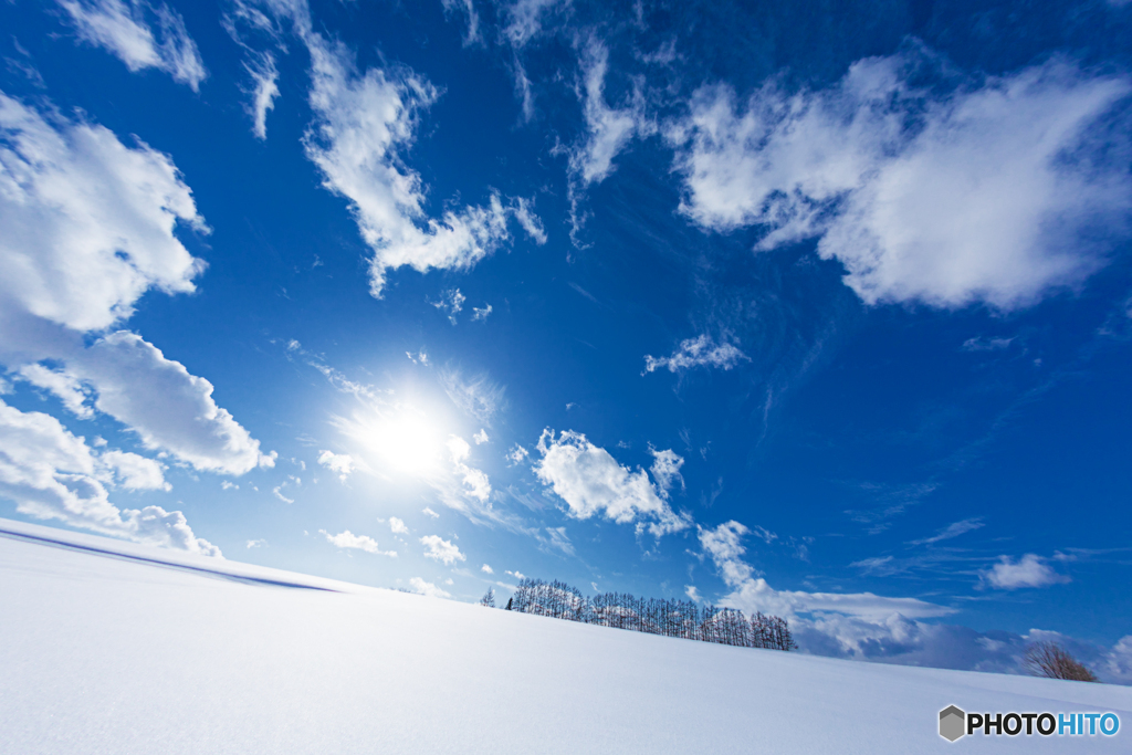 北海道・美瑛町 冬のマイルドセブンの丘