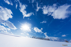 北海道・美瑛町 冬のマイルドセブンの丘