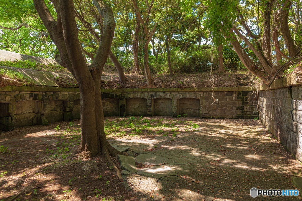 神奈川県・観音崎公園の風景 6