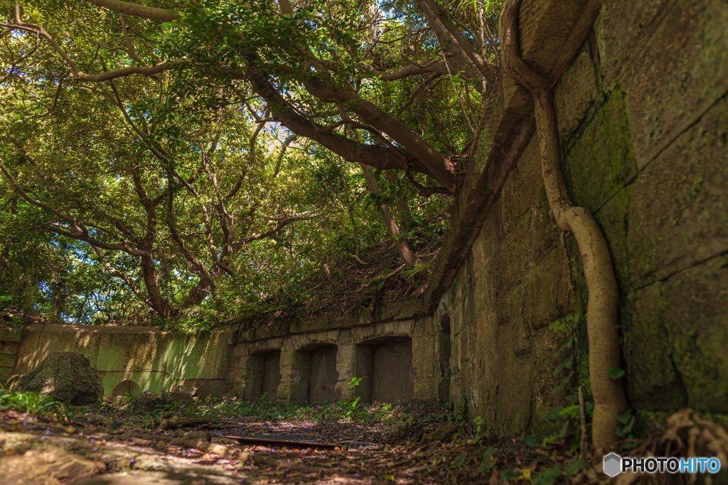 神奈川県・観音崎公園の風景 5