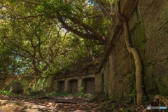 神奈川県・観音崎公園の風景 5