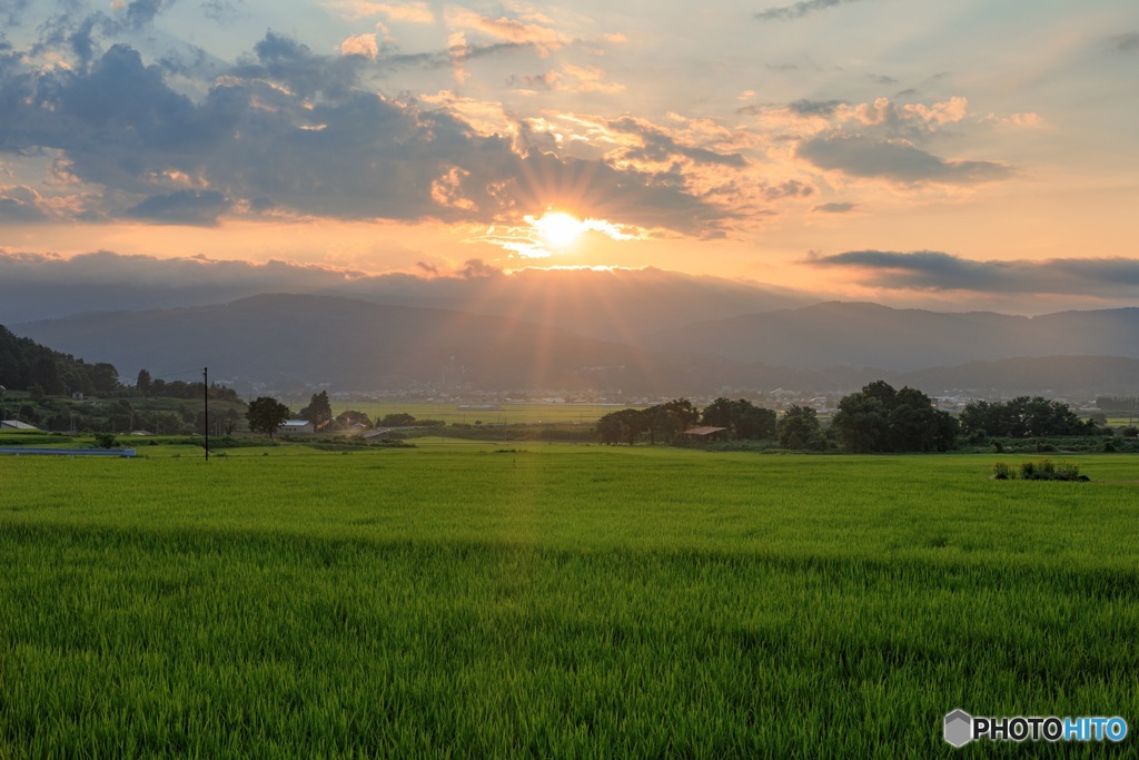 長野県・木島平村 緑の水田と夕日の風景