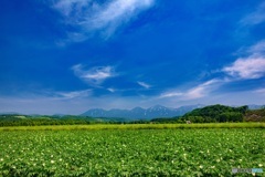 北海道・美瑛町 初夏の十勝岳連峰の風景