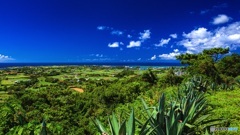 鹿児島県・与論島 高台からの風景 2