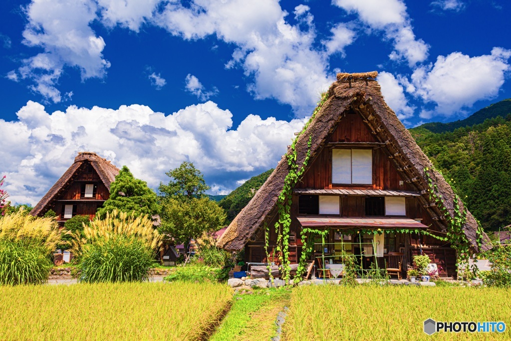 岐阜県・夏の白川郷の風景 3