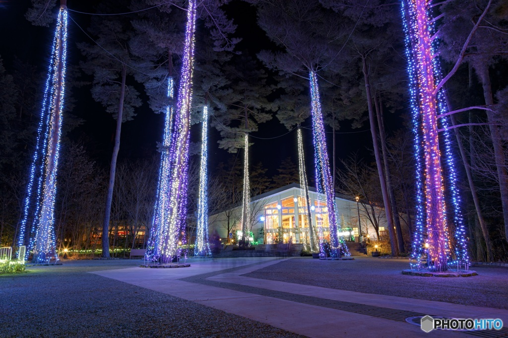 長野県・国営アルプスあづみの公園（堀金・穂高地区）のイルミネーション 4